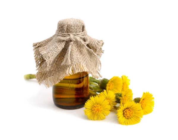 Coltsfoot flowers with pharmaceutical bottle. — Stock Photo, Image