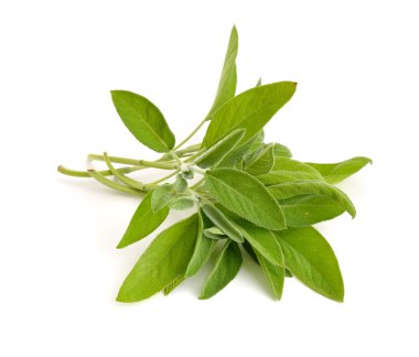 Ada çayı üzerinde beyaz