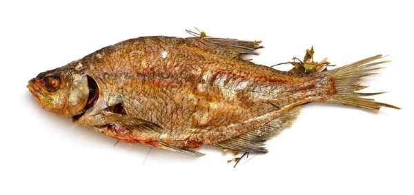 Довгоготувана Риба Випікали Російській Печі Соломі Відокремлені — стокове фото