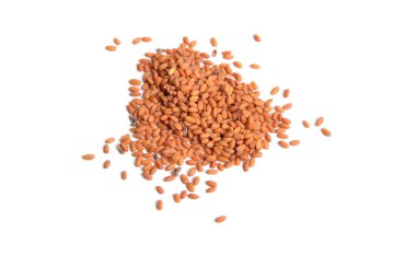 Camelina sativa tohumları. Beyaz arkaplanda izole