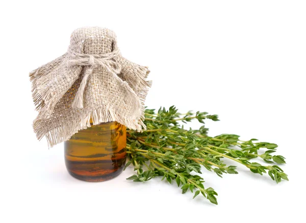 Thyme — Stock Photo, Image