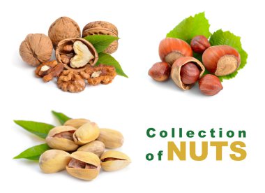 Antep fıstığı, ceviz, fındık. 