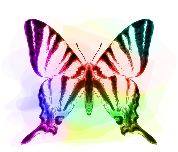 蝶。Iridescen 色. — ストックベクタ