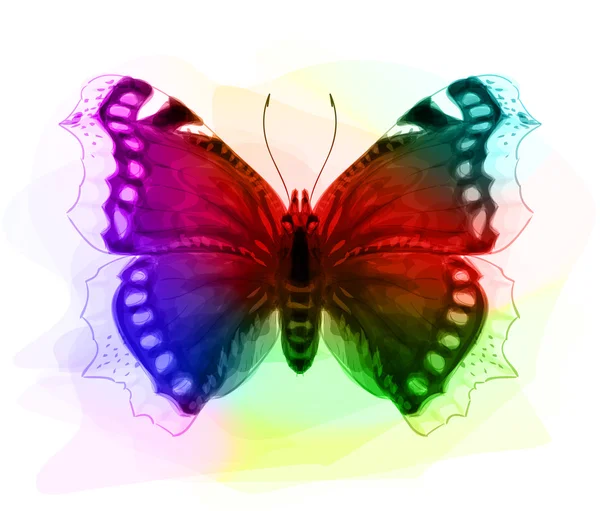 Schmetterling. Schillernde Farben. — Stockvektor