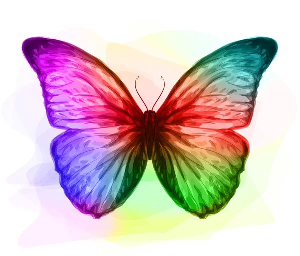 Papillon. Couleurs irisées . — Image vectorielle