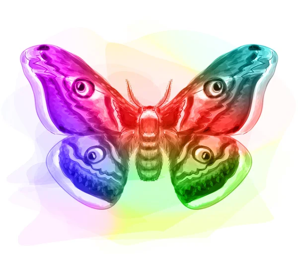 Butterfly. Iridescen colours. — Stock Vector