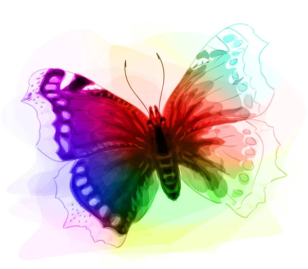 Farfalla. Colori iridescenti . — Vettoriale Stock