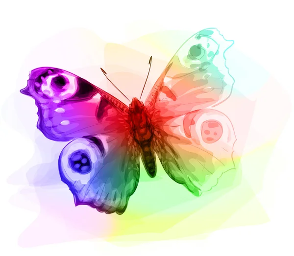 Papillon. Couleurs irisées . — Image vectorielle