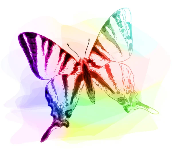 Kelebek. Iridescen renkler. — Stok Vektör