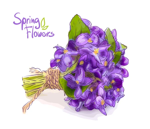 Pequeño ramo con violetas de prado . — Archivo Imágenes Vectoriales