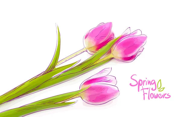 Tulipanes rosados — Archivo Imágenes Vectoriales