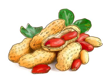 Fıstık
