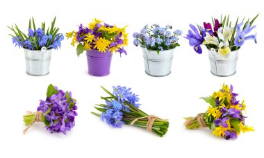 Bahar çiçekleri ayarlayın. Beyaz arka plan üzerinde izole.