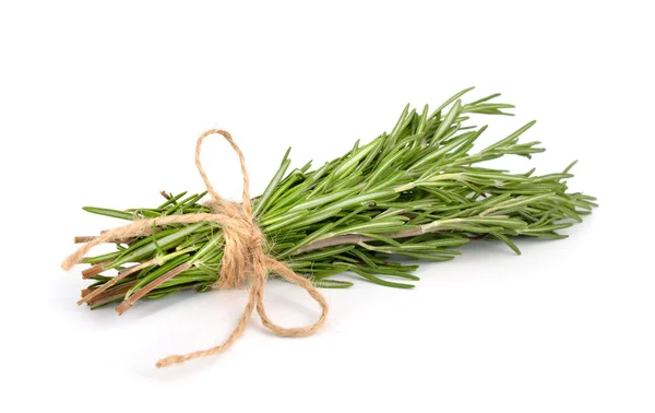 Rosemary cacho com uma corda de juta — Fotografia de Stock