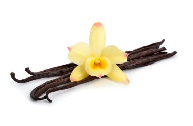 Bir sarı orkide ile vanilya pods.