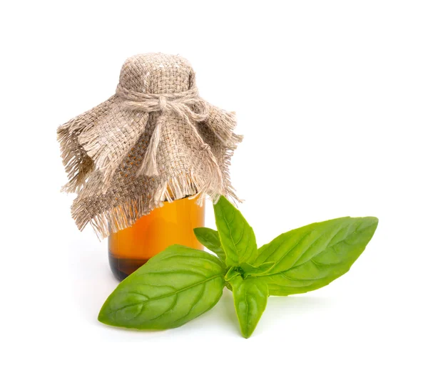 Essential oil of a basil — 图库照片