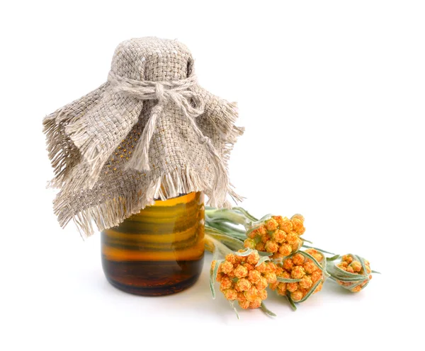Helichrysum luteoalbum with essential oil in pharmaceutical bott — ストック写真