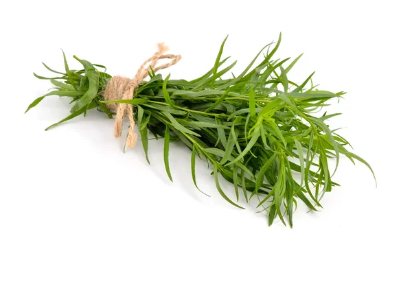 Tarragão (Artemisia dracunculus ) — Fotografia de Stock