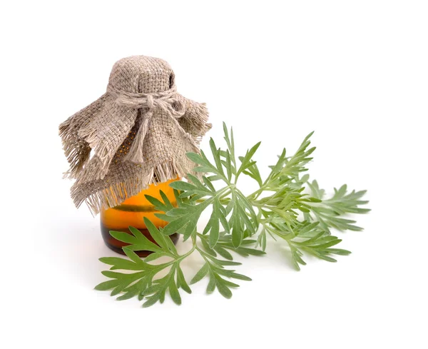 Artemisia absinthium with pharmaceutical bottle. — Stock Fotó