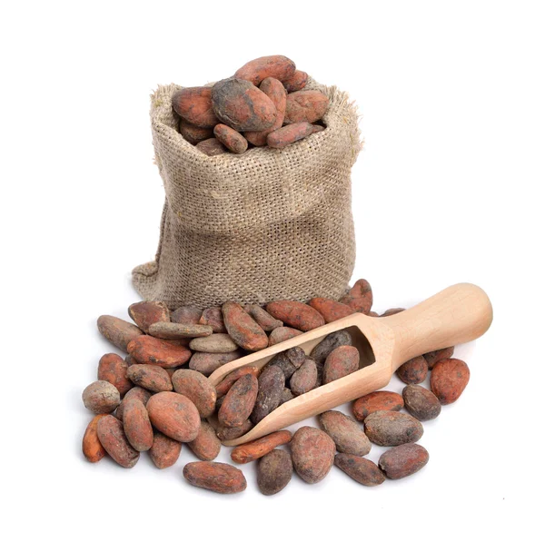 Какао-боби перед смаженням — стокове фото