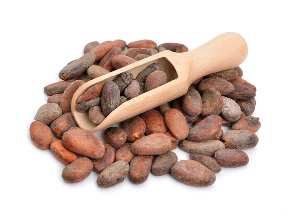 Cocoa beans before roast — Stok fotoğraf
