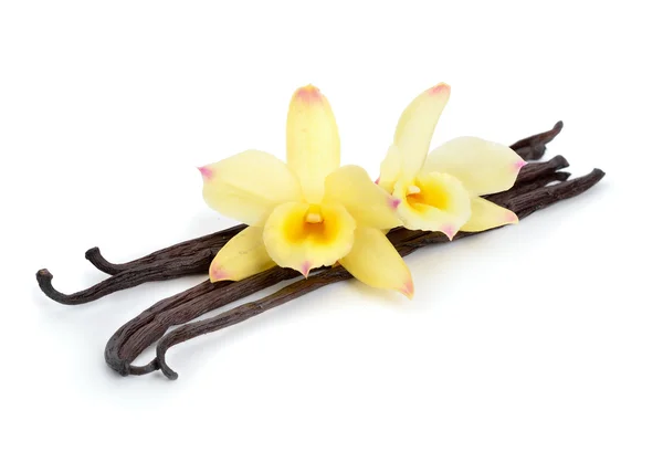 Vanilla pods with two yellow orchids. — Zdjęcie stockowe