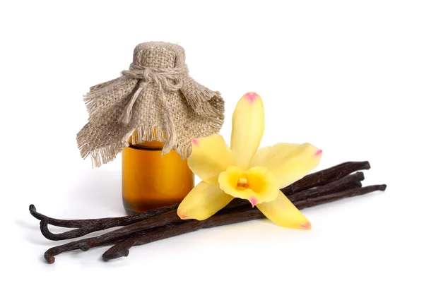 Vanilla essential oil in pharmaceutical bottle — Stok fotoğraf