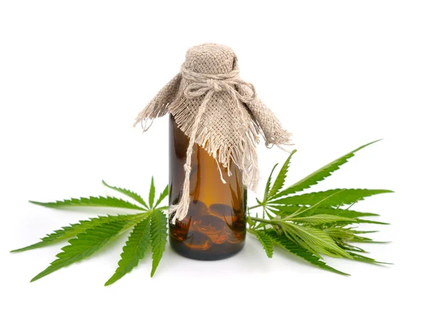 Foliage of hemp with pharmaceutical bottle.