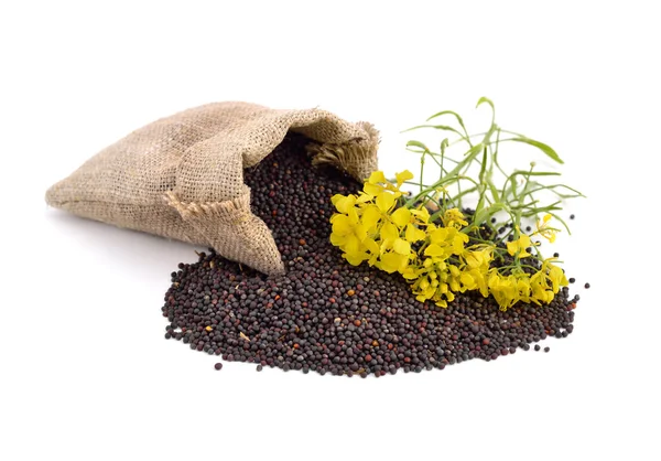 Rapeseed with flowers. — Stockfoto