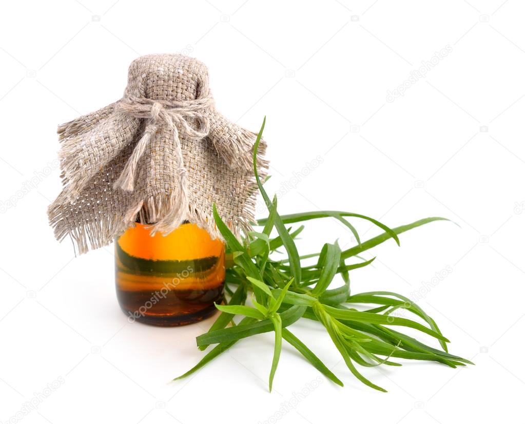Tarragon (Artemisia dracunculus) with pharmaceutical bottle.