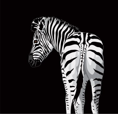 Bir zebra ile bir kuyruk gövdesi.