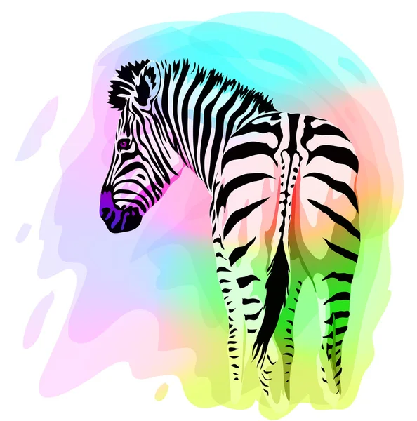 Rainbow Zebra portrait — Stock Vector