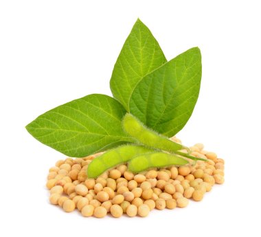 Green soy pods with leaves and seeds. clipart
