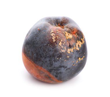 çürük elma izole.