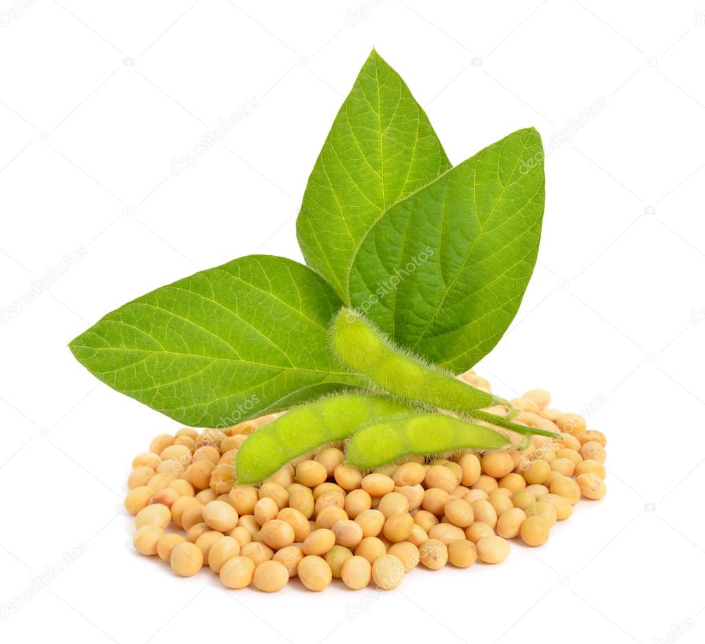 Green soy pods with leaves and seeds.