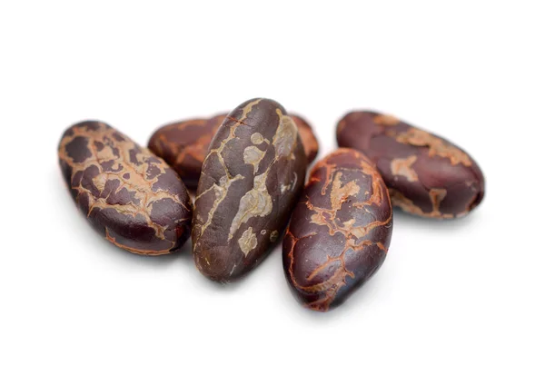 Rostade kakaobönor — Stockfoto