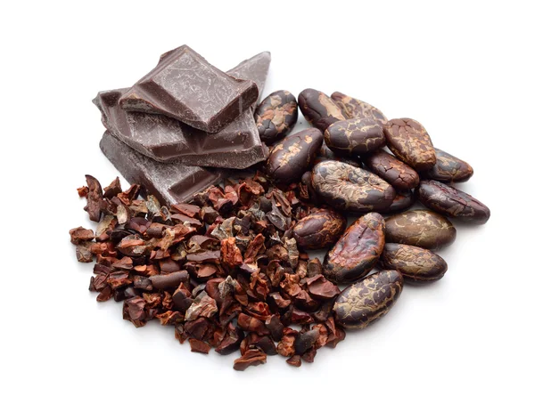 Cocoa products (Beans, nibs, chocolate) — Stock Photo, Image