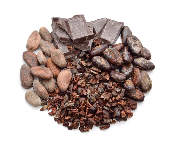 カカオ製品 (豆、ペン先、チョコレート) — ストック写真
