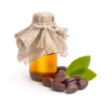 Jojoba (Simmondsia chinensis) yaprak, tohum yağı ile.