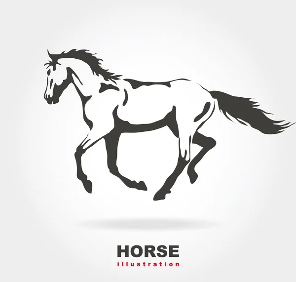 Pferd. Vektorabbildung auf Weiß. — Stockvektor