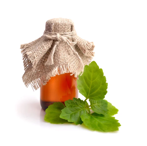 Patchouli sprig with essential oil. — Stock Photo, Image