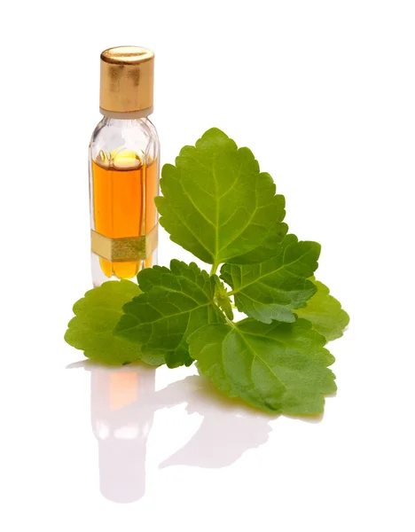 Patchouli takje met essentiële oliën. — Stockfoto