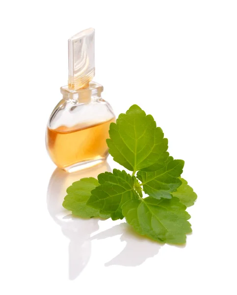 Patchouli takje met essentiële oliën. — Stockfoto