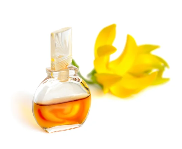 Ylang-Ylang olejek eteryczny z kwiatami. — Zdjęcie stockowe