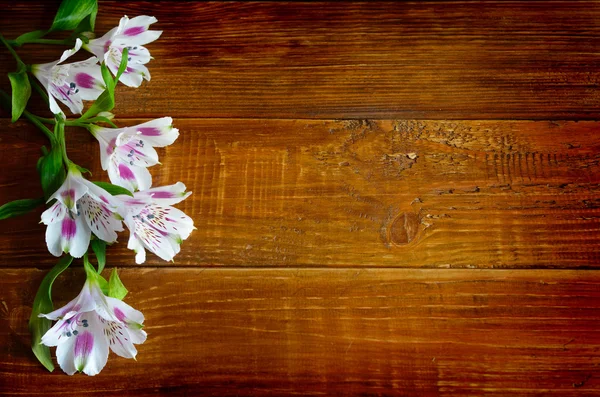 Alstromeria çiçek ahşap tahta arka plan üzerinde. — Stok fotoğraf