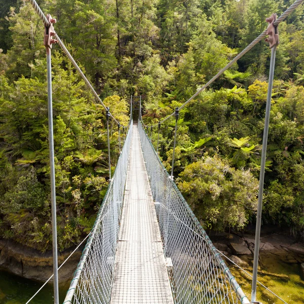 Simple Suspension Swing Bridge Crossing Rocky River Ending Dense Lush — Stock Photo, Image