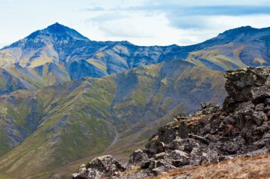 Tombstone Dağları, Yukon Bölgesi, Kanada 'nın yüksek dağlık kesimindeki sonbahar renkli tundra doğal yaşam alanı.