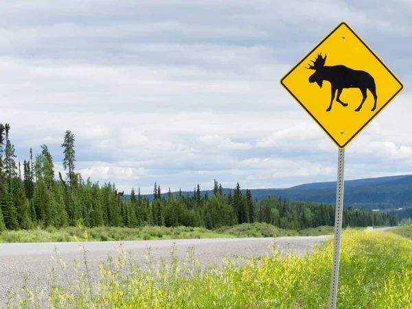 Yellow Diamond Traffic Road Sign Warning Attention Moose Crossing Posted — Stock Photo, Image