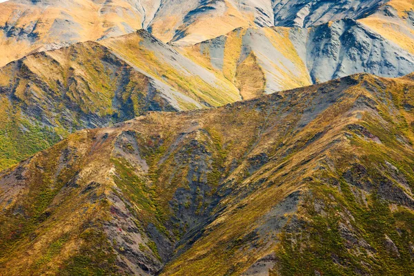 高山地区秋季彩色高山冻原栖息地的自然背景 — 图库照片