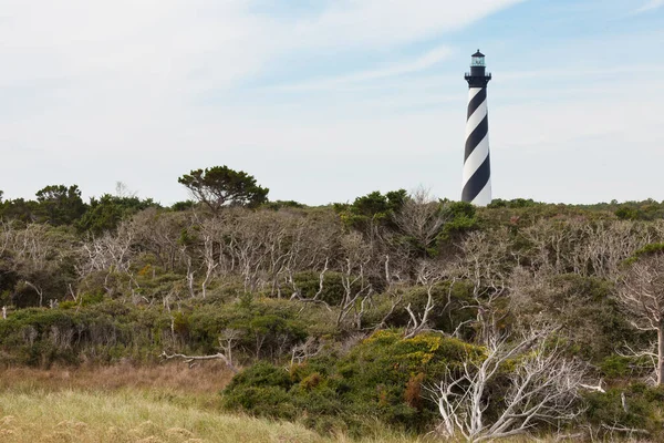 Cape Hatteras Maják Věže Nad Trpasličí Pobřežní Bažinaté Lesy Ostrova — Stock fotografie